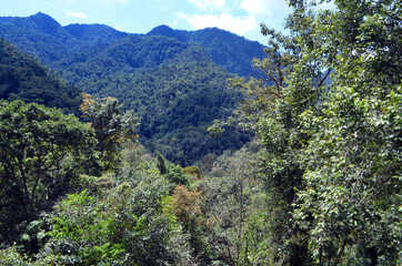 Ecuador - Mindo Tarabita Mountain Vista
