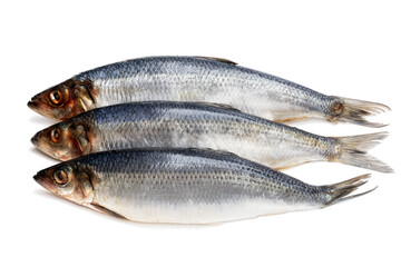 Set of fresh whole herring fish isolated on white