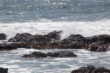 Fototapeta premium Ocean waves on the shore