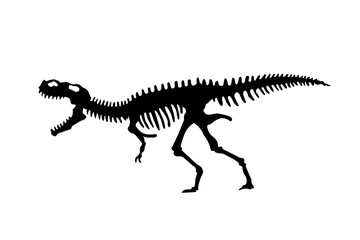 Fototapeta na wymiar Vector silhouette of dinosaurs skeleton. Hand drawn dino skeleton. Dinosaur bones, exhibit fossils in the museum