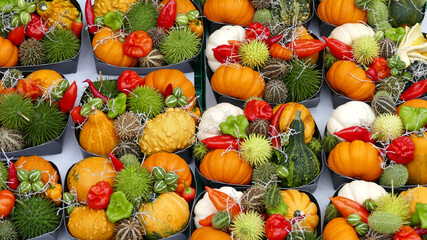 Pumpkins in the Luzern market in Switzerland