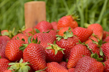 strawberry berry close-up on the background of nature