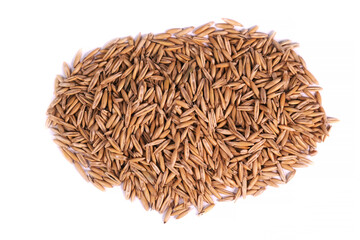oats grain on white