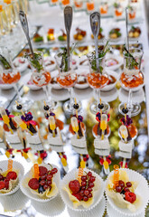 Delicious appetizer close-up. Catering concept. Modern design. Sweet and salty aperitifs. Close up.