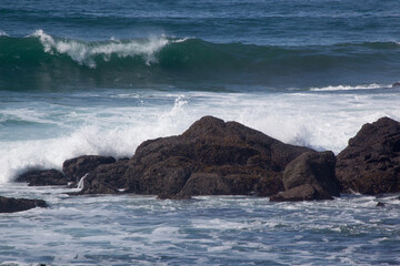 Ocean waves on the shore