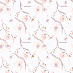 Fototapeta na wymiar Watercolour Sakura Drawing. White Blossom Branch 