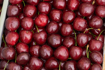 cherry ripe sweet viburnum cherry background