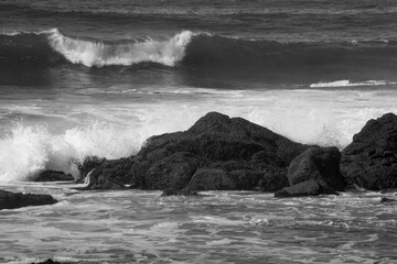 Ocean waves at the shore