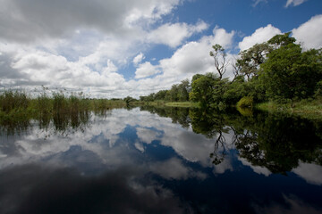 Kwando River, Caprivi Strip, Namibia