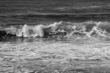 Fototapeta premium Ocean waves at the shore