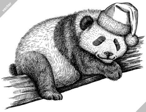 black and white engrave isolated panda vector illustration