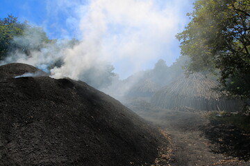 Preparation for making charcoal from wood. Silivri, Turkey.  A pile of wood prepared for charcoal production in a forested area.