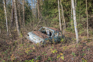 old car abandoned in the forest/Old car in the woods.