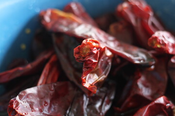 Chile guajillo 