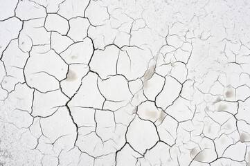 Detail of cracked clay soil texture.