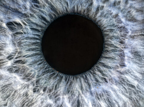 Human Blue And Grey Eye Extreme Macro