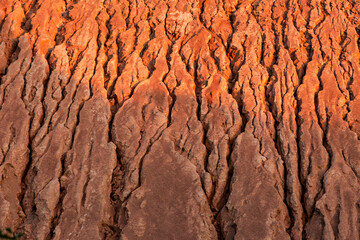 Red Rough Geological Formation Detail. Natural canyon backgrounds and textures