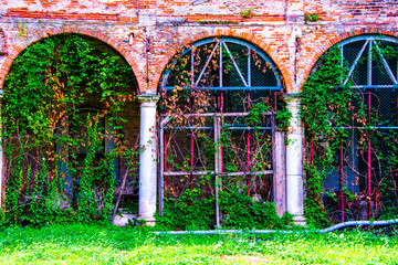three arches with ivy