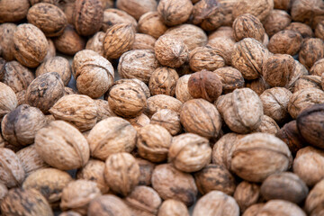 Organic fresh walnuts with shells laid on the floor to dry