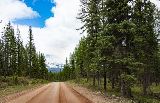 Dirt road to Polebridge, Montana