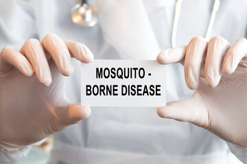 Doctor holding a card with text Mosquito - orne disease