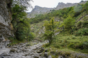 Source of the river Nervión in Delika