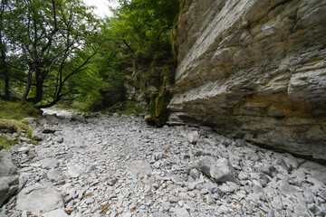 Source of the river Nervión in Delika