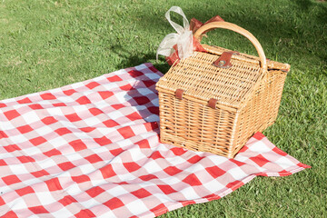 Picnic basket with a red and white tablecloth on the green lawn.