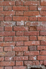 brick wall with remnants of plaster