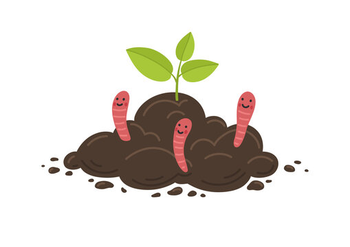 Worms In Soil Images – Browse 17,549 Stock Photos, Vectors, and Video