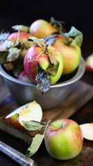 Fresh apples in a bowl on a dark surface. Harvest apples.