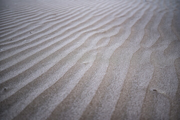 Sand waves from the wind