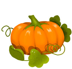 pumpkin halloween orange autumn vegetable season 3d