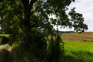 Beautiful clean Landscape in the Rychlebske Mountains, Northern Moravia, Czech Republic
