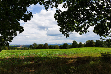 Beautiful clean Landscape in the Rychlebske Mountains, Northern Moravia, Czech Republic