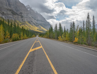 Fototapeta premium Autumn view of the Icefields Parkway in Banff and Jasper National Parks, Alberta, Canada