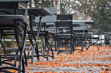 Close up of chairs in empty outdoor cafe covered with yellow autumn leaves. Selective focus.