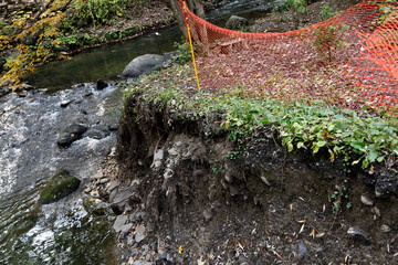 L'érosion du sol en forêt