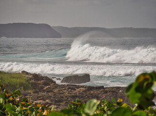 OLYMPUS DIGITAL CAMERA
Photo de vague au spot de surf du Moule en Guadeloupe