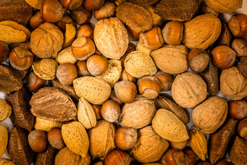 Full frame shot of a mixed variety of nuts, walnuts, hazelnuts, almonds and macadamia nuts