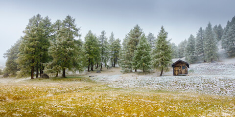 Fototapete bei efototapeten.de bestellen   