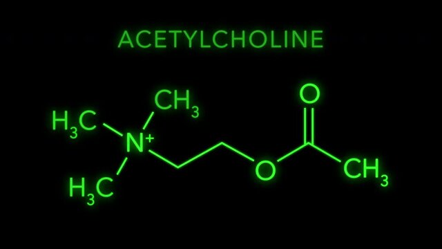 Acetylcholine or ACh Molecular Structure Symbol Neon Animation on black background.