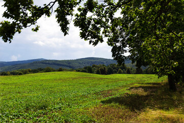 Beautiful clean Landscape in the Rychlebske Mountains, Northern Moravia, Czech Republic