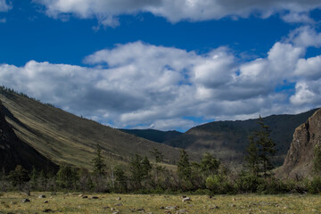 Fototapeta premium Mountains on Baikal, Sarma. Large tall green grassy rock near gorge. Trees and bushes in the foreground in dry steppe. Cloudy blue sky
