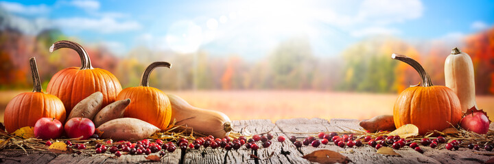 Thanksgiving And Harvest - Pie Pumpkins,
Sweet Potatoes, Squash And Cranberries On Table With Harvest Field Background