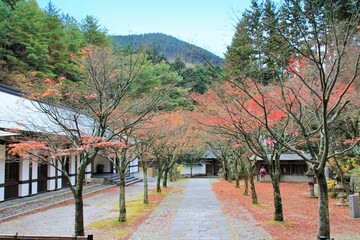 紅葉の呑山観音寺
