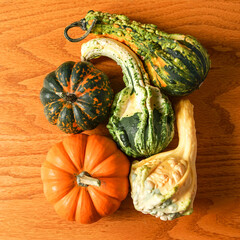 Pumpkins and gourds on a wooden surface