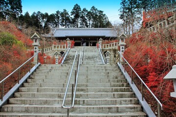 紅葉の呑山観音寺本堂