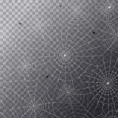 Spider web concept
