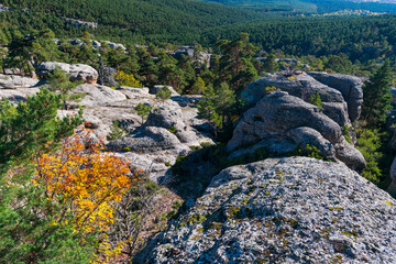 Landscape in Castroviejo, Duruelo de la Sierra, Soria province, Castilla y Leon, Spain, Europe